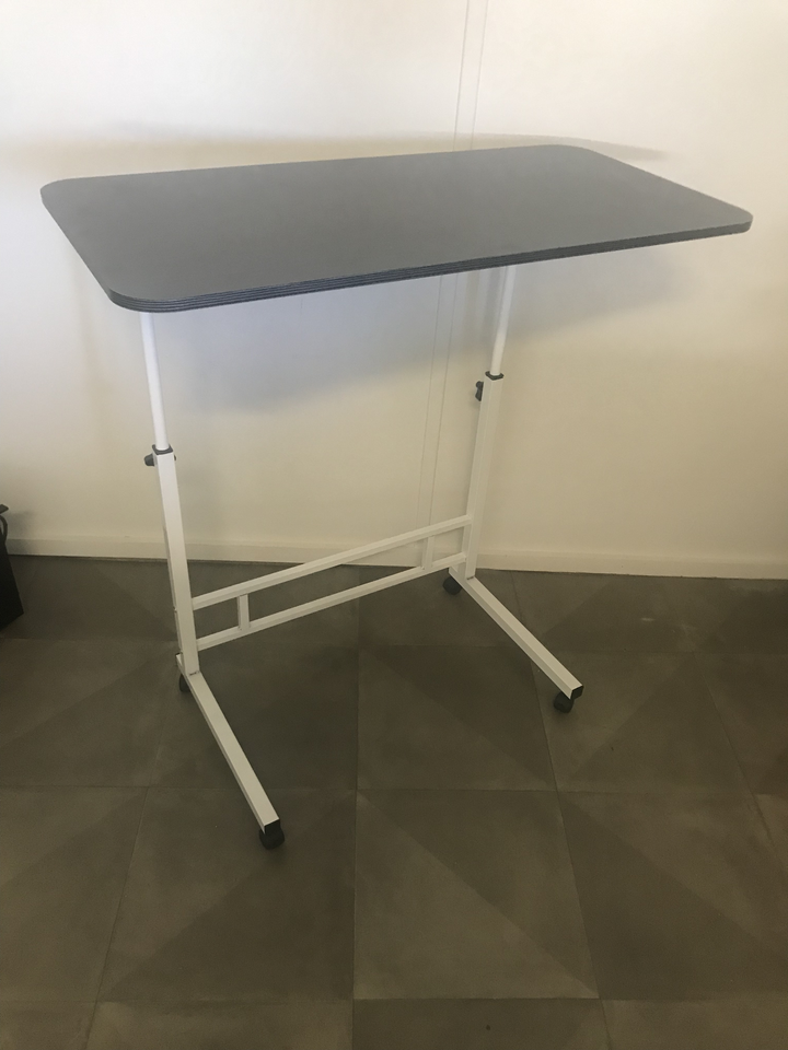 SOGA 2X 40x80cm Gray Bedside Table Movable Bedroom Desk Student Computer Table