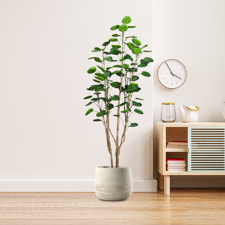 SOGA 2X 180cm Plastic Potted Polyscias Scutellaria Plant Home Garden Artificial Tree, Home Decor