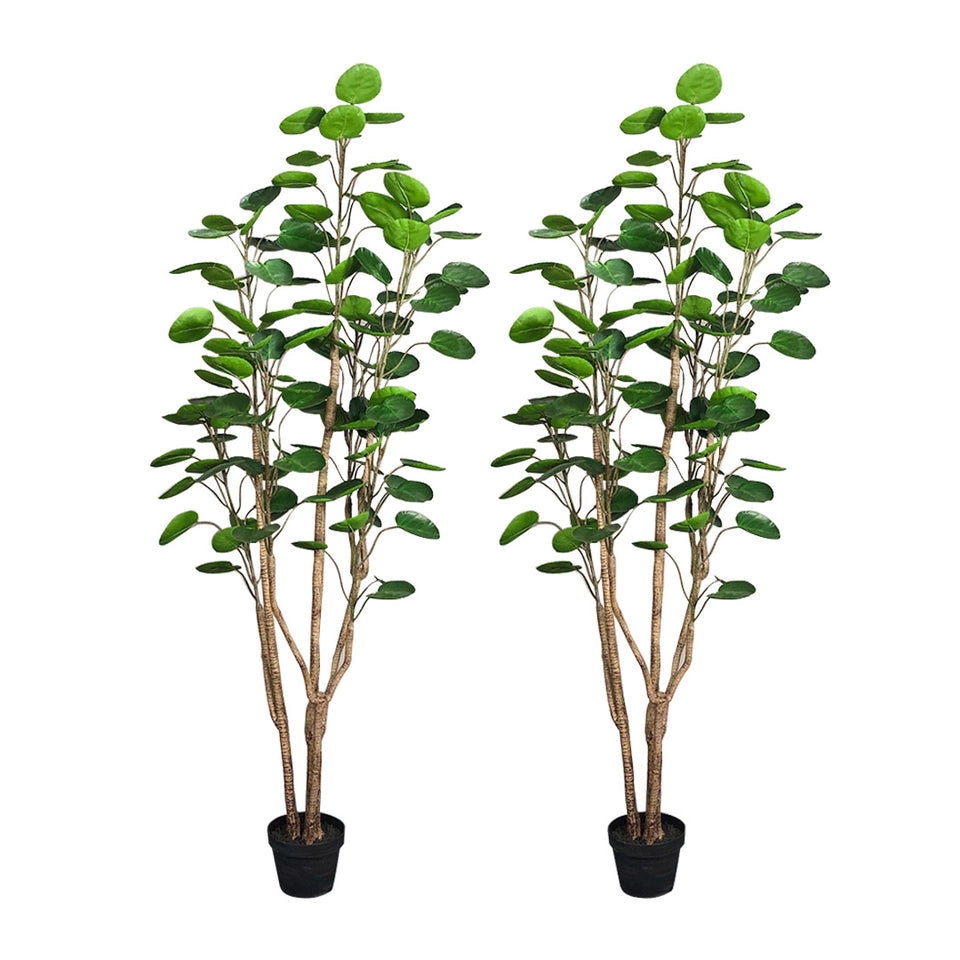 SOGA 2X 180cm Plastic Potted Polyscias Scutellaria Plant Home Garden Artificial Tree, Home Decor