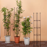 SOGA 163cm 4-Bar Plant Frame Stand Trellis Vegetable Flower Herbs Outdoor Vine Support Garden Rack with Rings