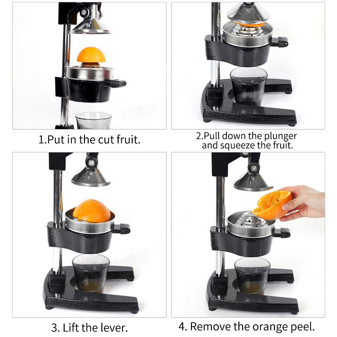 Manual No. 22 Hand Juicer Machine